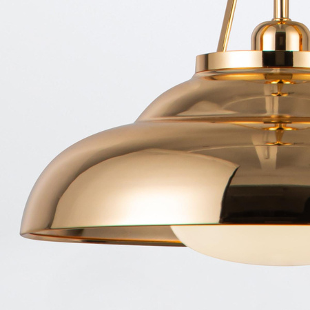 Lampa wisząca w stylu Modern Palmetto Polerowany mosiądz (QN-PALMETTO-P-M-PB) - Quintiesse