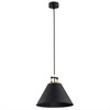 Lampa wisząca 1 pł. ORTE (4915) - Argon