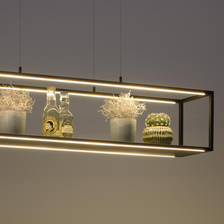 CONTURA LAMPA WISZĄCA CZARNY (2441-18) - Paul Neuhaus