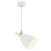 Lampa wisząca 1 pł. CHARLOTTE (4684) - Argon