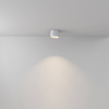 Lampa sufitowa Hydra (C090CL-10W3K-W) - Maytoni