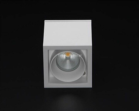 Lampa zewnętrzna Ceti kol. biały (D348045)