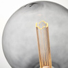 Żarówka Globe (80170) Endon