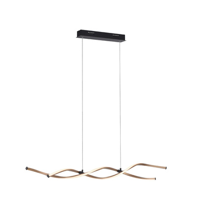 POLIA LAMPA WISZĄCA CZARNY/ZŁOTY (9142-18) - Paul Neuhaus