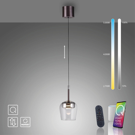 Lampa wisząca na pilota i aplikację, z płynną regulacją wysokości Q-KON SREBRNY (2741-21) - Paul Neuhaus
