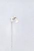 FOLIE Wall 1L White/Satin Nickel (108627) Markslojd