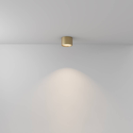 Lampa sufitowa Hydra (C090CL-10W3K-MG) - Maytoni