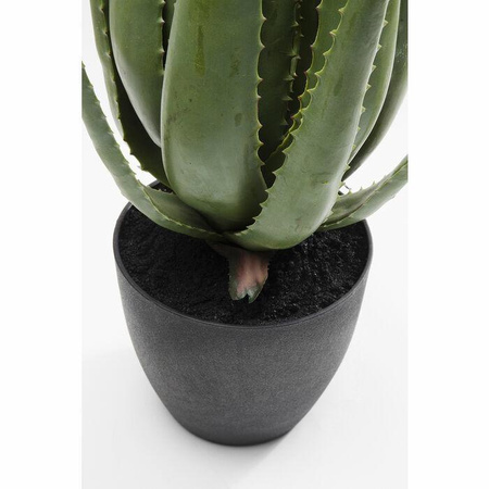 KARE roślina dekoracyjna ALOE 69 cm  (60724) - Kare Design