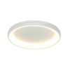 CEILING LIGHT 60W 3000K ALUMINUM & ACRYLIC DIMMABLE SANDY WHITE (2057 Zambelis) - Zambelis