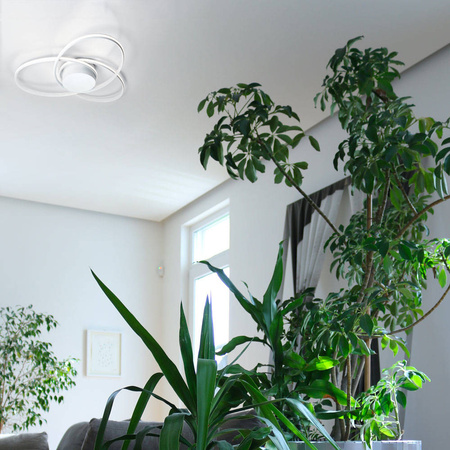 Lampa sufitowa CLOVER 4000K, 80 cm (0031.21 DIM N) - Vivida