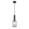 Lampa Wisząca Antiola (PND-5588-1M-BK+CL) - Italux