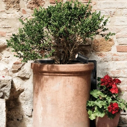 OUTDOOR SPIKE LIGHT 1XGU10 BLACK (E312 Zambelis) - Zambelis