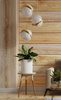MOOSEE lampa wisząca GLOBE 25 złota (MSE010100239) - Moosee