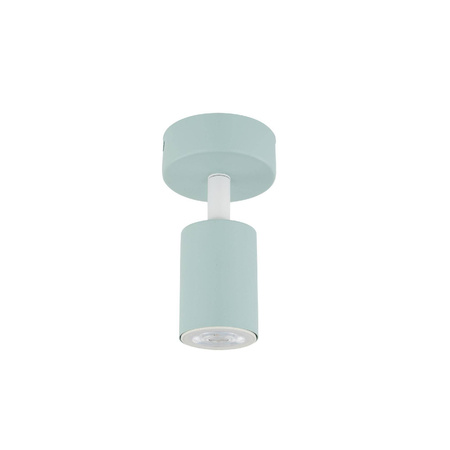 Lampa sufitowa LIVIA MINT 1(10220) - TK Lighting