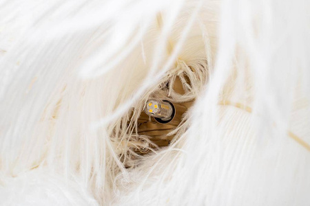 Lampa wisząca TIFFANY 135 biała mosiądz / naturalne pióra (JD0019.WHITE) - King Home