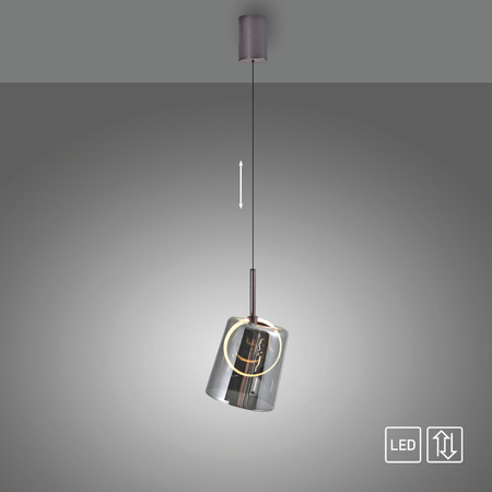 ZULA LAMPA WISZĄCA DYMIONY BRĄZOWY (2541-25) - Paul Neuhaus