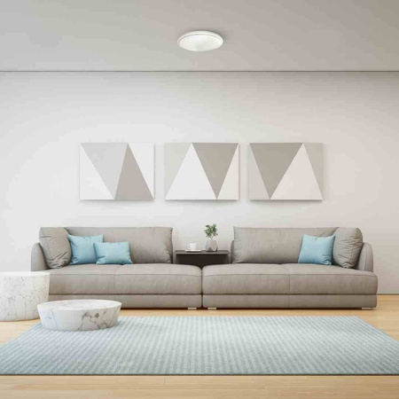 Plafon PEPE 19W LED ?390 mm (ML6066) - Milagro