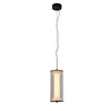 Lampa wisząca Aeris transparentna LED CCT (LP-2137/1P TR) - Light Prestige