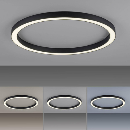 Lampa sufitowa PURE-LINES (6306-13) - Paul Neuhaus