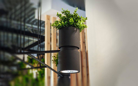 Kinkiet KUKKIA czarna (TH.005CZ) - Thoro Lighting