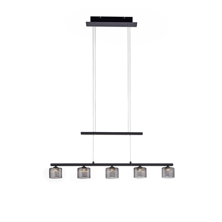 Lampa wisząca HYDRA (2209-18) - Paul Neuhaus