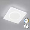 Bisi 21450 lampa sufitowa 1x23,6w/led 2902lm 2700k-6500k ip20 (FHL21450) - Fischer&Honsel