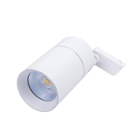 Reflektor LED 1-fazowy Vision 30W biały z przełącznikiem barwy światła (BLAUPUNKT-RS1W-30CCT)
