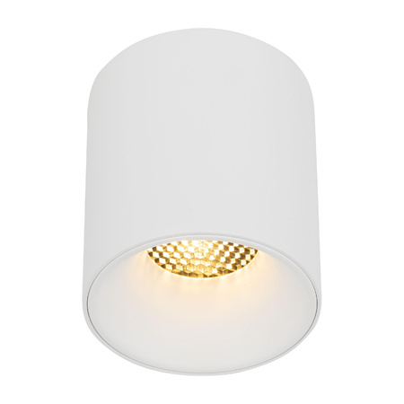 Lampa przysufitowa BLAZE WHITE CCT 12W (18157) - TK Lighting