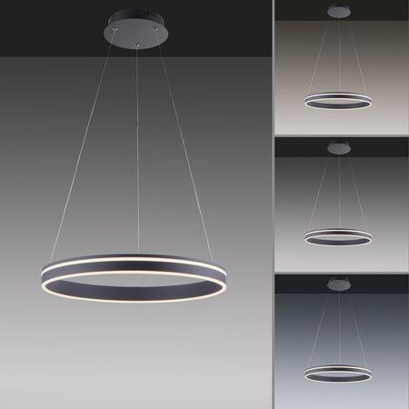 Q-VITO LAMPA WISZĄCA ANTRACYT (8411-13) - Paul Neuhaus