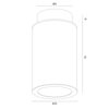 Plafon HAMPTON (8501-ARG) - Argon