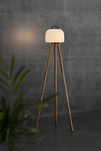 Stojak do lampy KETTLE Nordlux   Drzewo Naturalny