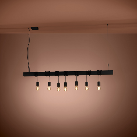 Lampa wisząca TOWNSHEND-B czarna (39938) - EGLO