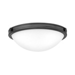 Mały plafon Collier - 2 źródła światła - Zgaszona czerń (HK-COLLIER-F-S-BX) - Elstead Lighting
