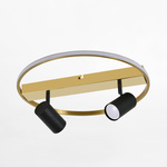 VIENNA LAMPA SUFITOWA CZARNA-ZŁOTA/BLACK-GOLD (CL231045) - Zuma Line