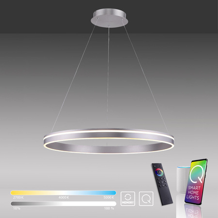 Q-VITO LAMPA WISZĄCA SREBRNY (8412-55) - Paul Neuhaus