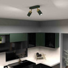 Lampa sufitowa JOKER GREEN/GOLD 2xGU10 (MLP7718) - Milagro