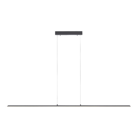 PURE-LITE LAMPA WISZĄCA ANTRACYT (8377-13) - Paul Neuhaus