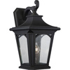 Kinkiet zewnętrzny Bedford (QZ-BEDFORD2-L) - Elstead Lighting
