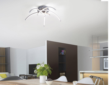 VALERIE LAMPA SUFITOWA STALOWY (15340-55) - Paul Neuhaus