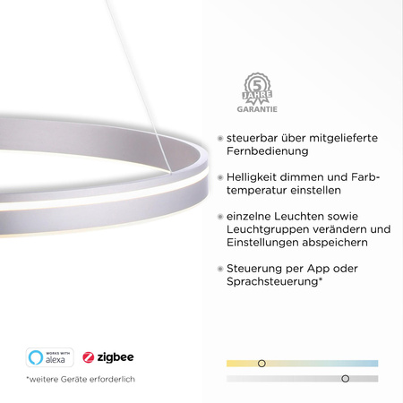 Q-VITO LAMPA WISZĄCA SREBRNY (8412-55) - Paul Neuhaus