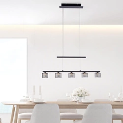 Lampa wisząca HYDRA (2209-18) - Paul Neuhaus