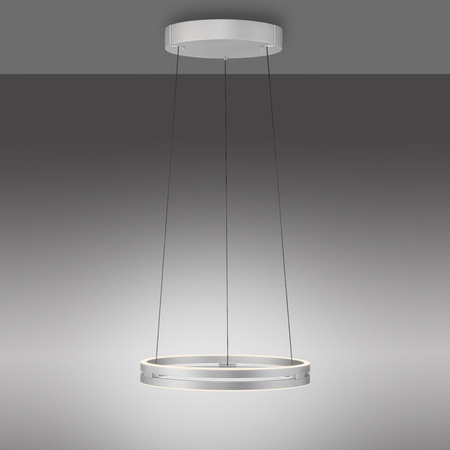 PURE E-LOOP LAMPA WISZĄCA ALUMINIUM (2550-95) - Paul Neuhaus