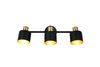 Lampa sufitowa z reflektorami EVA (868800380) - Trio