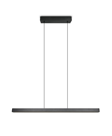 Ściemnialna lampa wisząca na pilota DONEGAL (333310232) - Trio