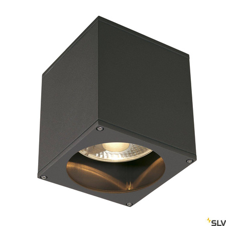 BIG THEO, lampa sufitowa outdoor, QPAR111 IP44, kwadratowa, antracytowa, maks. 75W (229555) - SLV