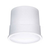 LED Coin Base Zigbee Dimmbar (PL92469) - PAULMANN