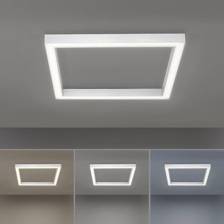 Lampa sufitowa PURE-LINES (6022-95) - Paul Neuhaus