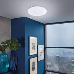 Lampa Sufitowa Mona  (20923) - Fischer&Honsel