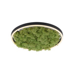 LAMPA SUFITOWA GREEN RITUS (15391-66) - Paul Neuhaus