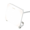 Naświetlacz LED Strongbeam 50W IP65 barwa naturalna (BLAUPUNKT-NLS50NW)